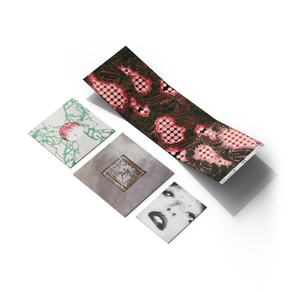 Chromatica Trifold Vinyl Packshot