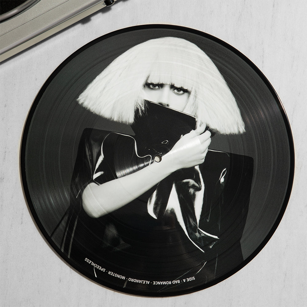 LADY GAGA FAME LP アナログ　レコード Lady Gaga - The Fame Monster (Picture Disc Vinyl) - POP *NEW