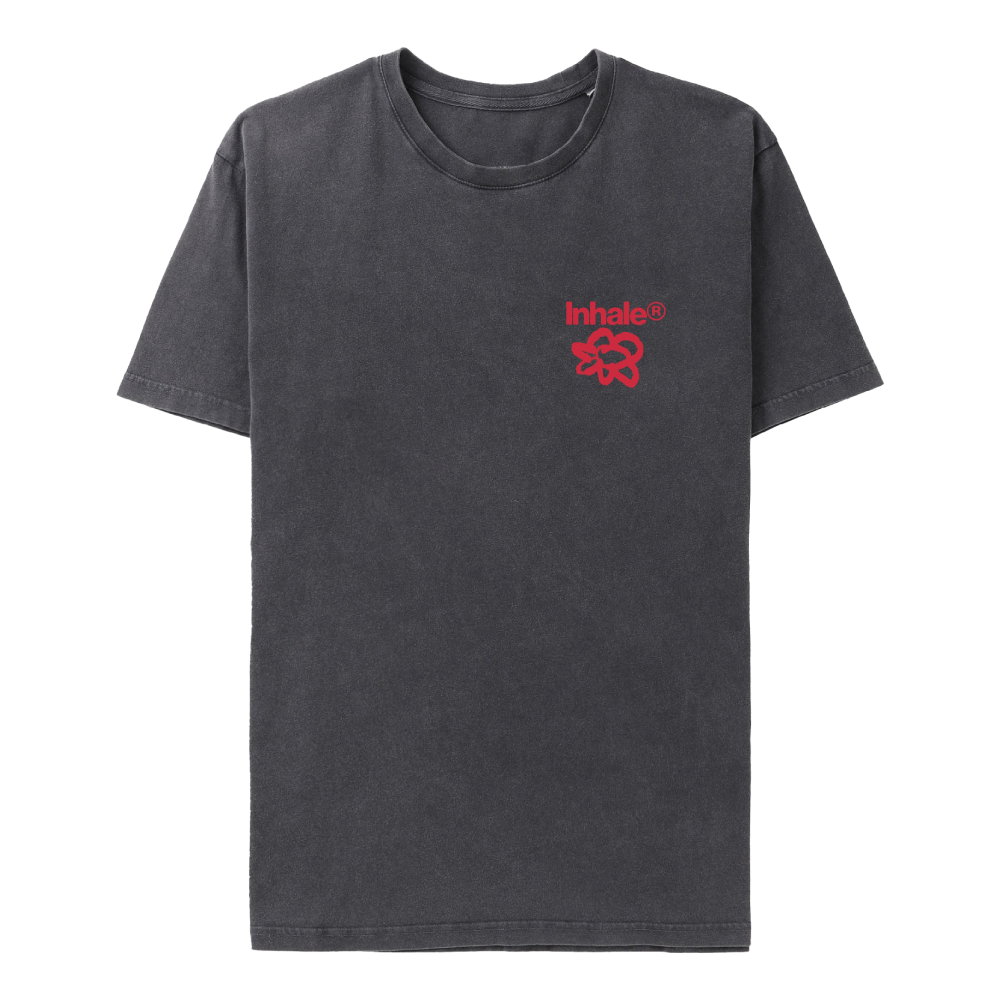 Inhaler Open Wide T-Shirt in Grey - Interscope Records