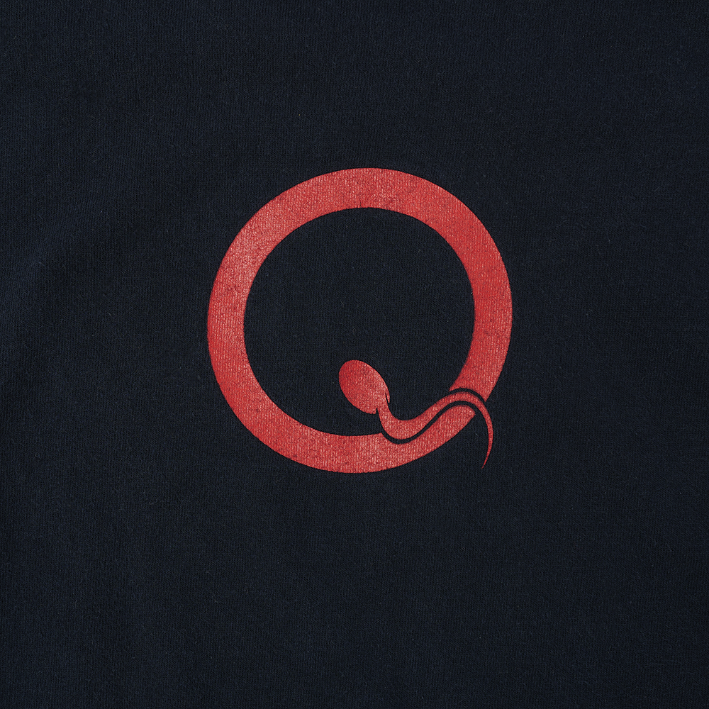 Queens of the Stone Age Songs for the Deaf Vintage T-Shirt Detail 1