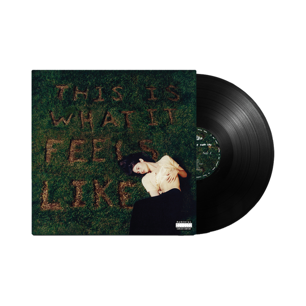 'This Is What It Feels Like' Vinyl Interscope Records