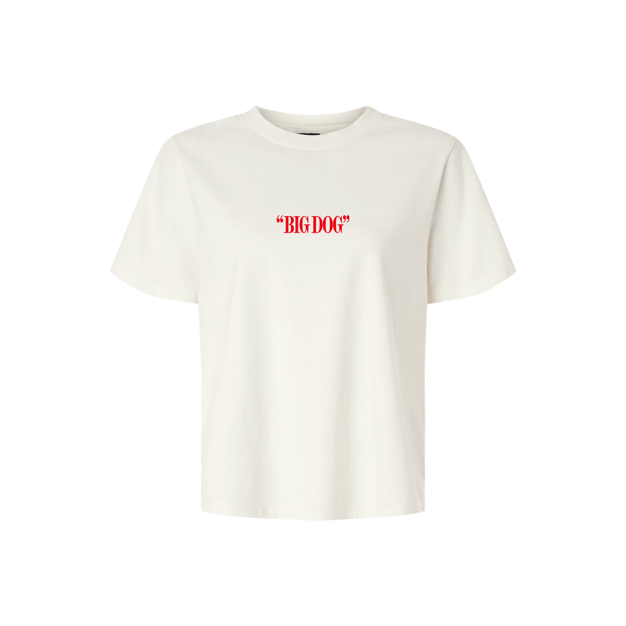 big dog t-shirt but it’s kinda cropped