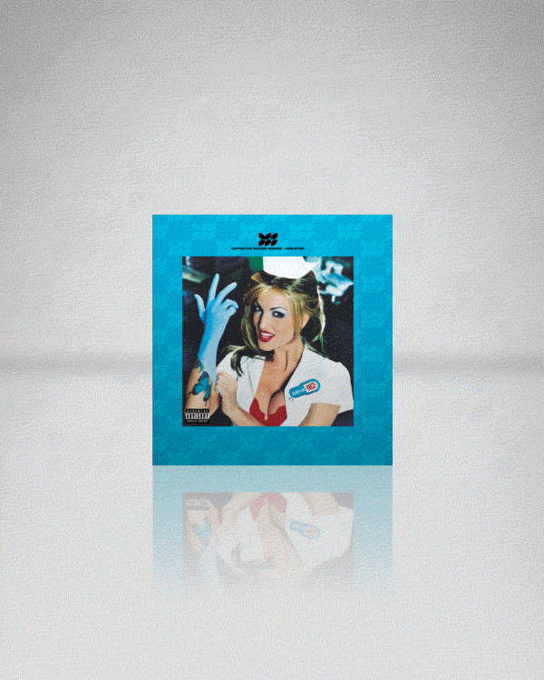 Enema Of The State DSS One-Step gif