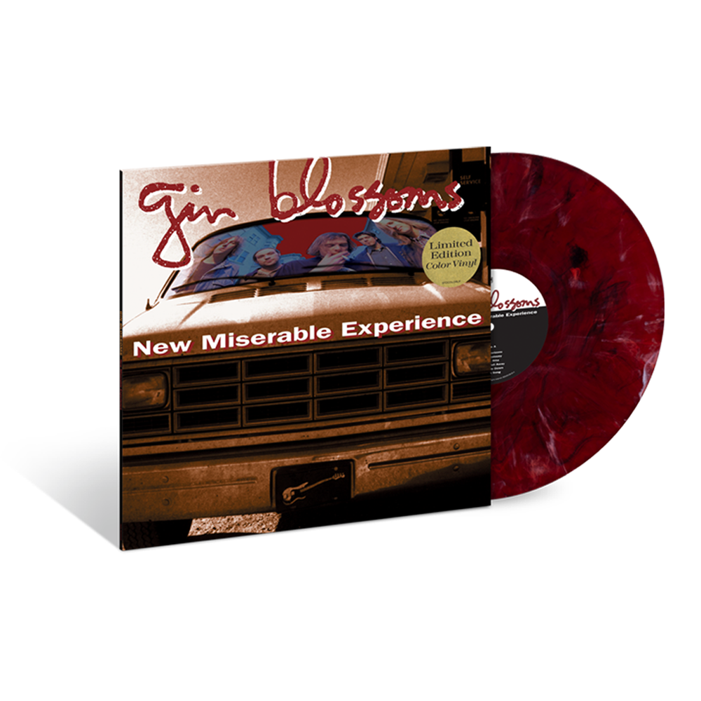 New Miserable Experience Red/Rust Marble LP - Interscope Records New Miserable Experience Red/Rust Marble LP - Interscope Records