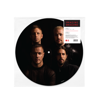 Enemy Picture Disc Vinyl Band Picture