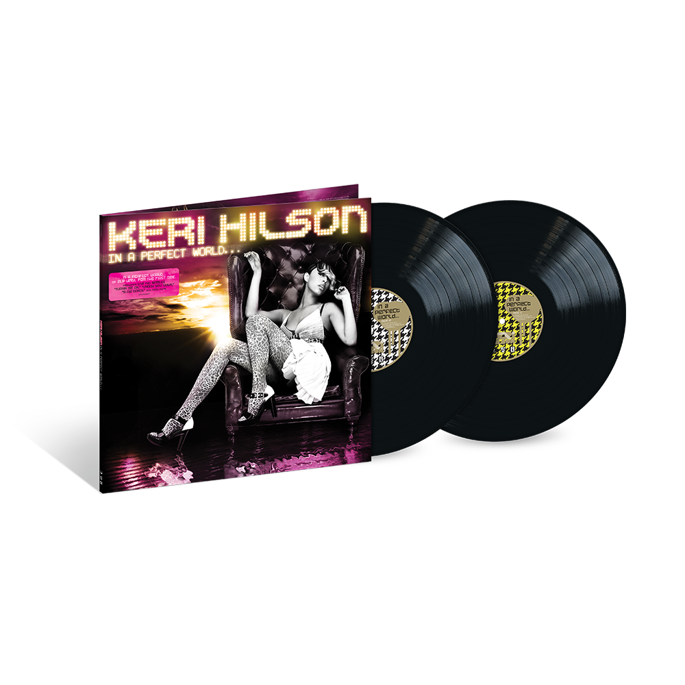 In A Perfect World 2LP