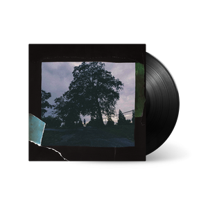 4 Your Eyez Only Vinyl - Interscope Records