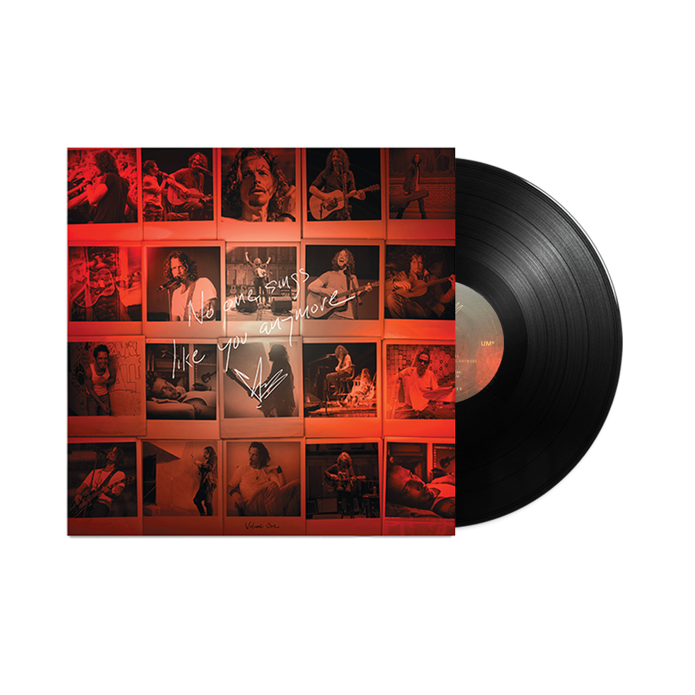 No One Sings Like You Anymore LP