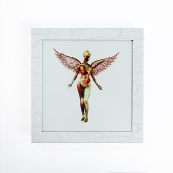 In Utero 30th Anniversary Super Deluxe Box Set Cover