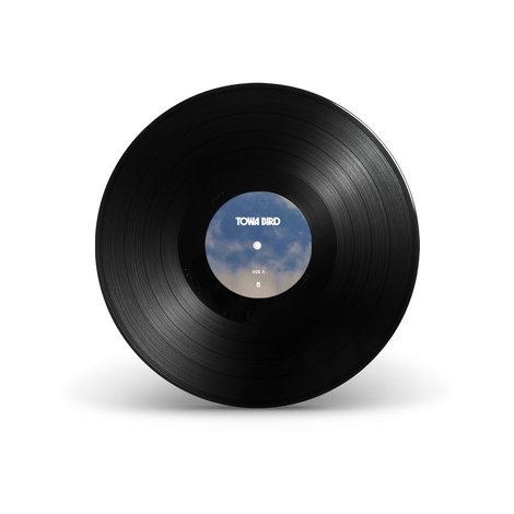 Wild Heart / This Isn't Me 7" Vinyl Disc
