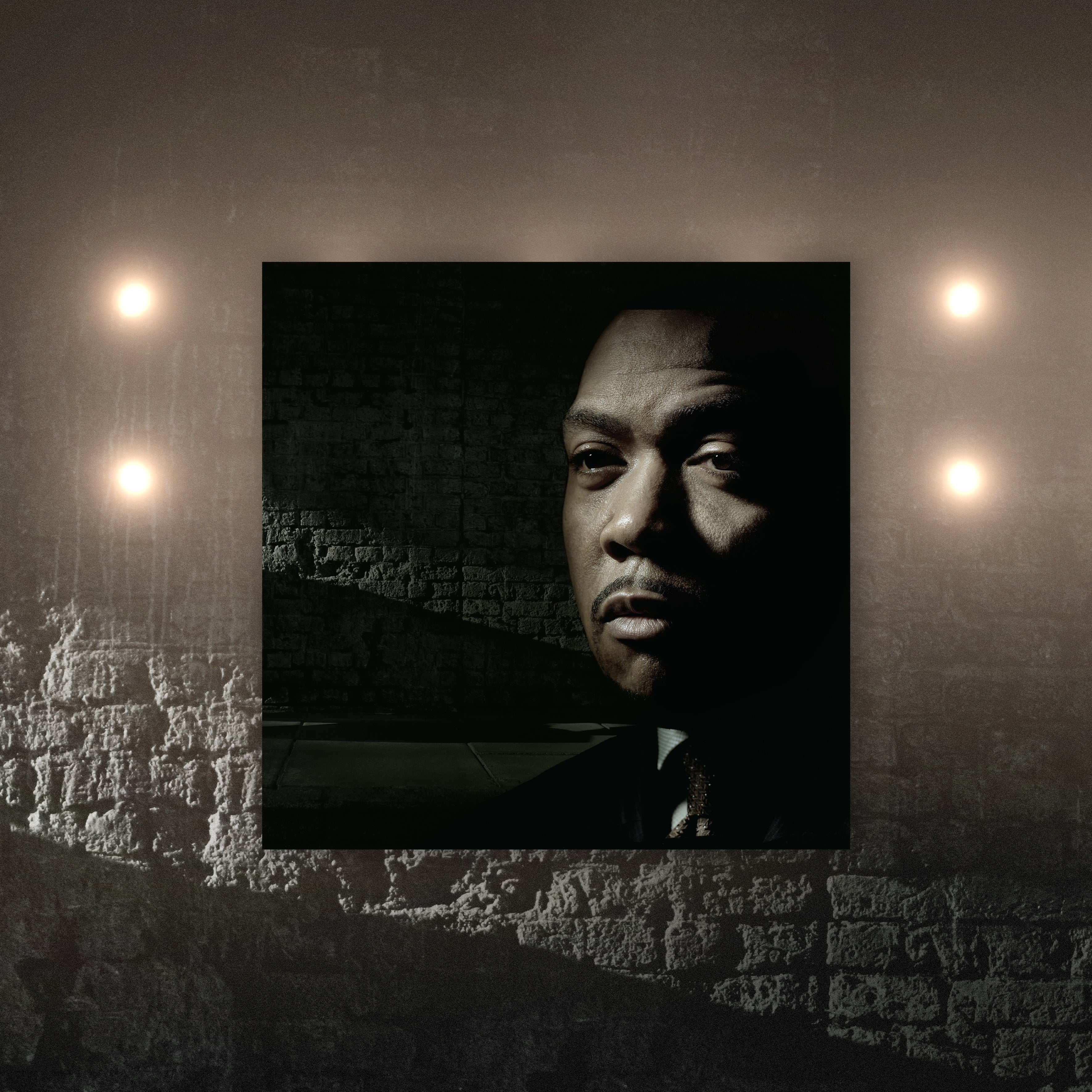TIMBALAND SHOCK VALUE レコード LP 12インチ Timbaland - 