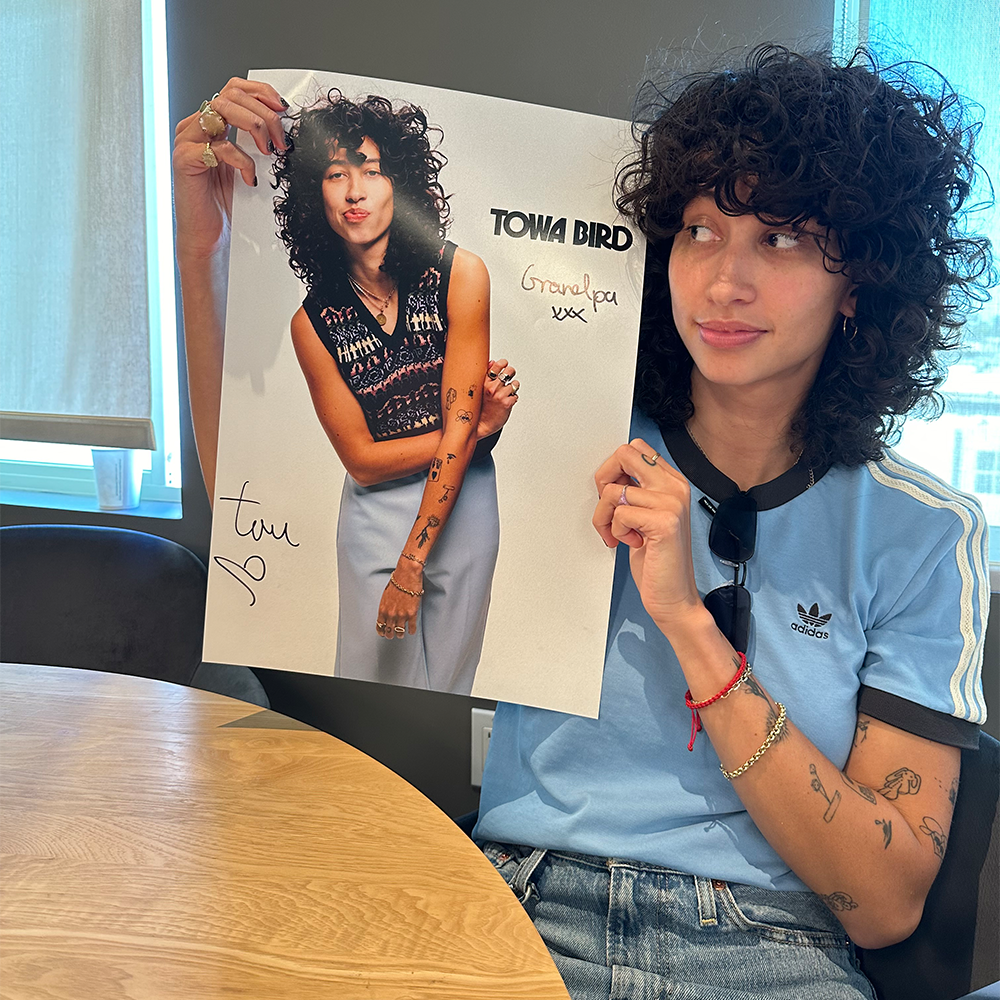 American Hero Vinyl + Signed Poster 1