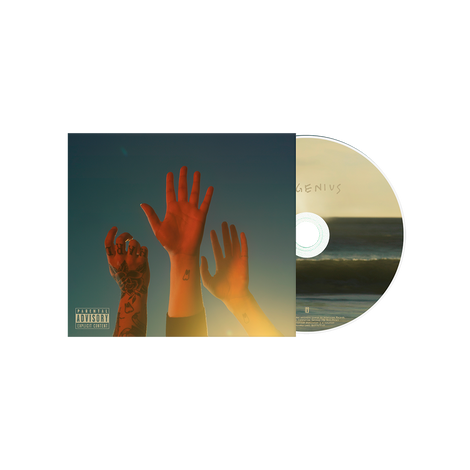 The Record CD