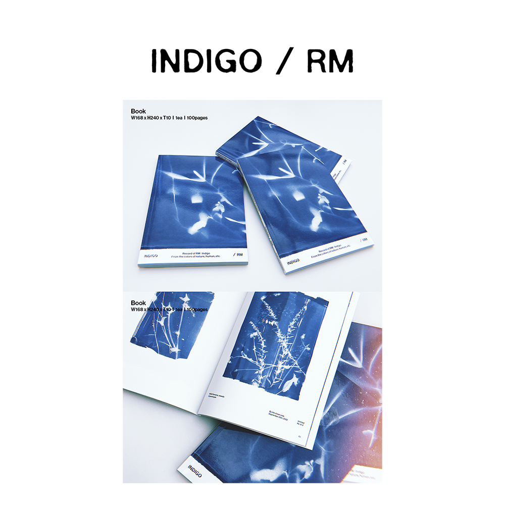 Indigo' Book Edition - Interscope Records Indigo' Book Edition - Interscope Records
