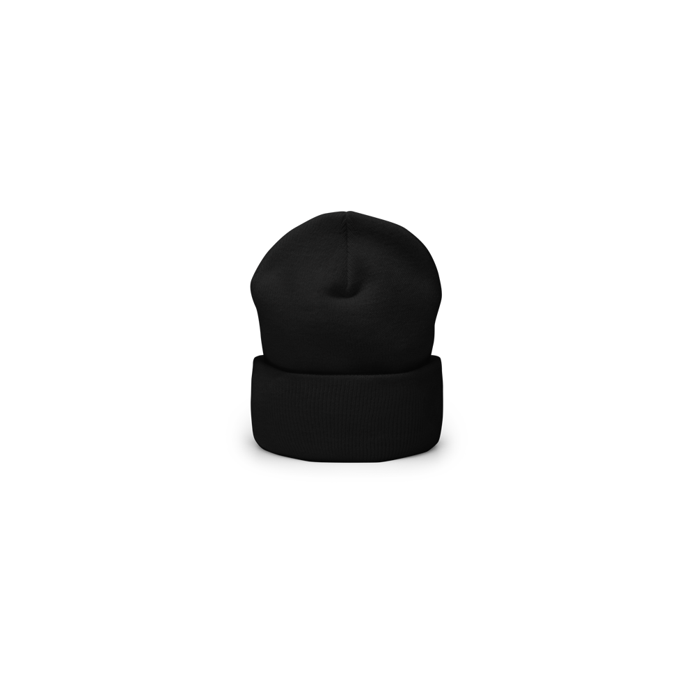 good grief Beanie - Interscope Records good grief Beanie - Interscope Records