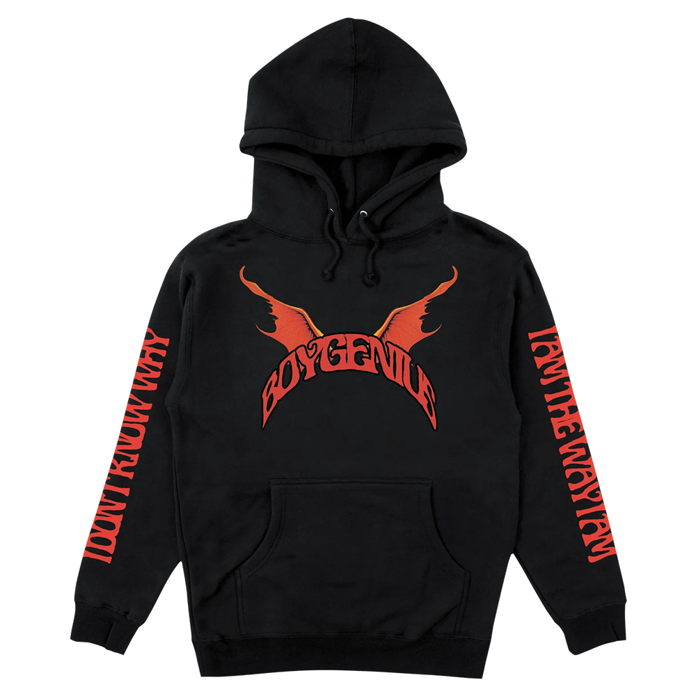 Thrasher sales devil hoodie