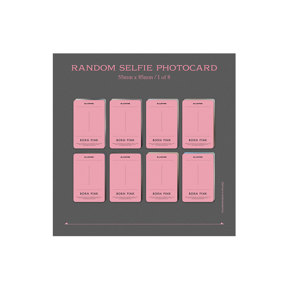 BORN PINK Exclusive Box Set - Pink Version - Interscope Records BORN PINK Exclusive Box Set - Pink Version - Interscope Records